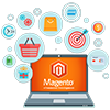 Magento wide web